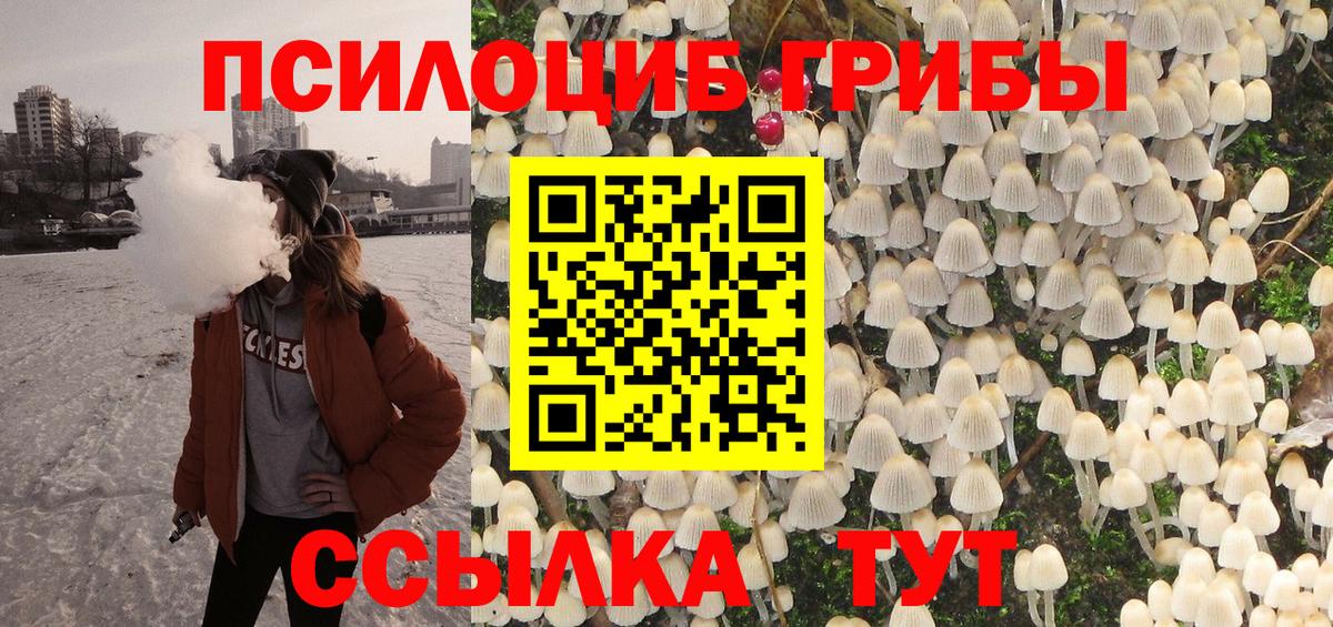 Галлюциногенные грибы Magic Shrooms Лениногорск