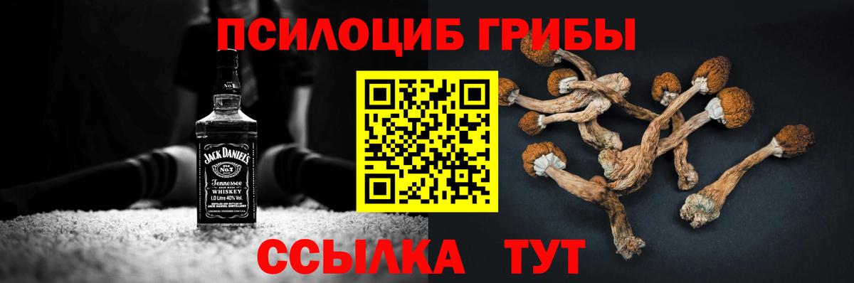 Лениногорск  Псилоцибиновые грибы Psilocybe  Вход с VPN 